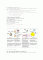 면역학-보체(complement), 과민반응, MHC와 조직이식 19페이지