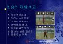 농구슛의 비교분석 5페이지