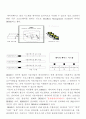 데이터베이스 관리시스템과 SQL 3페이지