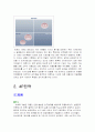 딤채의 성공사례연구 21페이지