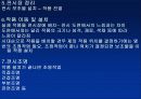 전시연출 18페이지