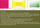 디스플레이 색체 31페이지