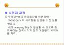 보의 비틀림 10페이지
