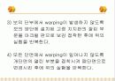 보의 비틀림 13페이지