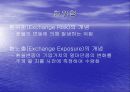 한진중공업의 환리스크 관리 4페이지