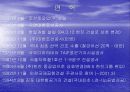 한진중공업의 환리스크 관리 9페이지