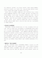현대도시의 문제점 12페이지