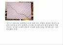 디자인의 기초수업 과제 종합 레포트 5페이지