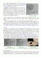 심폐소생술 12페이지