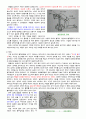 심폐소생술 15페이지