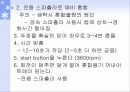 교정용 연구모형 13페이지