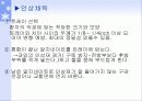 교정용 연구모형 15페이지