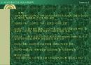 스타벅스 11페이지