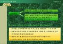 스타벅스 19페이지