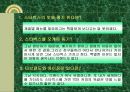 스타벅스 27페이지