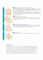 와인의 종류와 기능 및 와인과 건강 2페이지