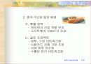 정보통신(IT)산업의 이해와 발전방향 15페이지