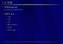 e-비즈니스 모델과 B2C 응용분야 11페이지