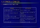 고객관계관리(CRM) 8페이지