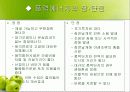 풍력에너지 12페이지