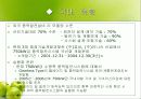 풍력에너지 13페이지