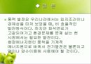 풍력에너지 19페이지