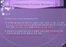 BPM(Business Process Management)의 정의 3페이지