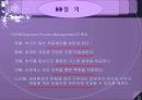 BPM(Business Process Management)의 정의 4페이지