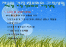 정보사회의 생활문화 2페이지