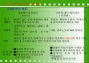 정보사회의 생활문화 11페이지