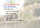 정보사회의 생활문화 23페이지
