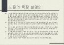 노즐의 종류와 특징 10페이지