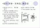 정류에 의한 액체 액체 분리 5페이지