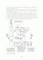 CHAPTER 14 Social Classes on Consumer Behavior 12페이지