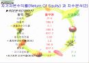 기업경영분석(풀무원) 21페이지