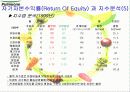 기업경영분석(풀무원) 24페이지