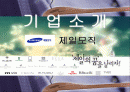 기업설명(제일모직) 1페이지