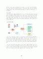 듀오의 CRM도구로서의 DMS 10페이지