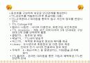 TTL 마케팅성공사례(디자인경영성공사례) 16페이지