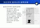 염료(머리염색) 8페이지