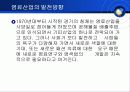 염료(머리염색) 14페이지