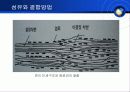 염료(머리염색) 19페이지