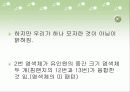2번 염색체 3페이지