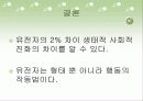 2번 염색체 11페이지