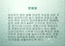 비만의 원인과 기준 비만예방법 13페이지