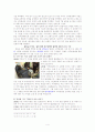 살인범죄수사 4페이지