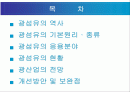광섬유 텀 페이퍼 2페이지