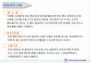 광섬유 텀 페이퍼 23페이지