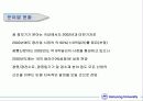 광섬유 텀 페이퍼 28페이지
