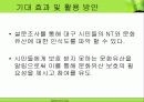 NT도입을 통한 보전에 관한 연구 9페이지